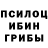 Галлюциногенные грибы прущие грибы Bekzat Toktosunov