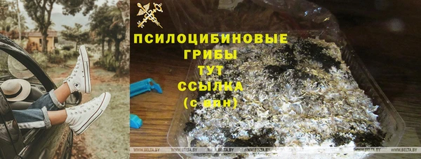 трава Алексин