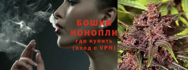 ПСИЛОЦИБИНОВЫЕ ГРИБЫ Алексеевка